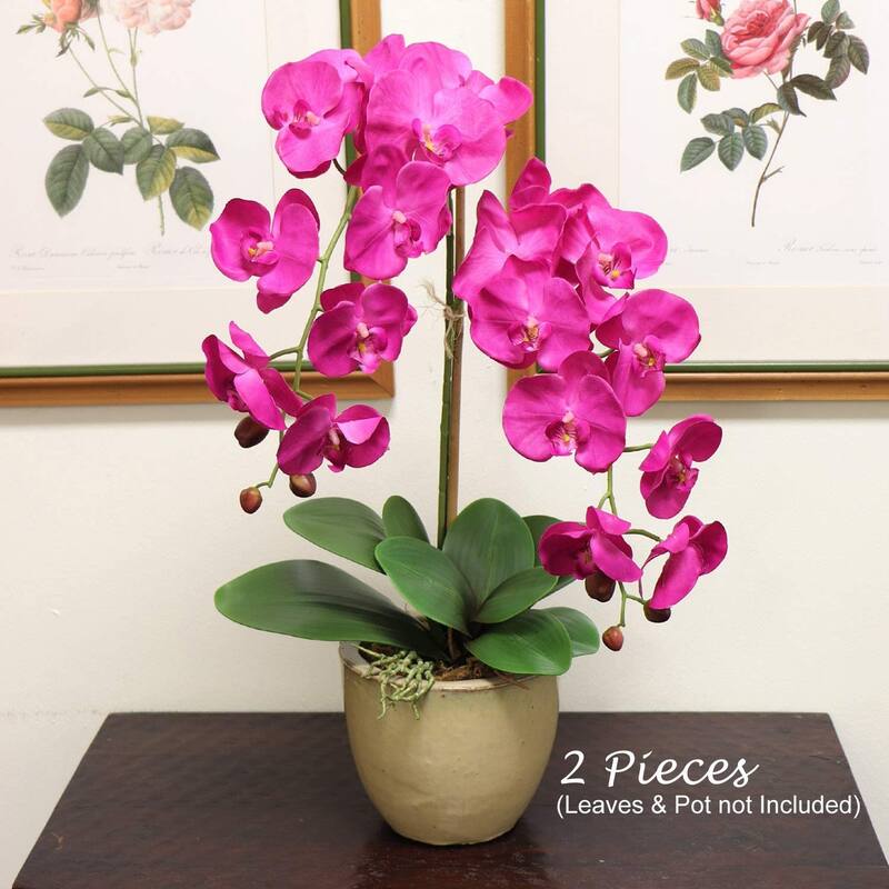 Artificial Orchid Stems, Real Touch Ultra Realistic Faux Decorative Phalaenopsis Flowers